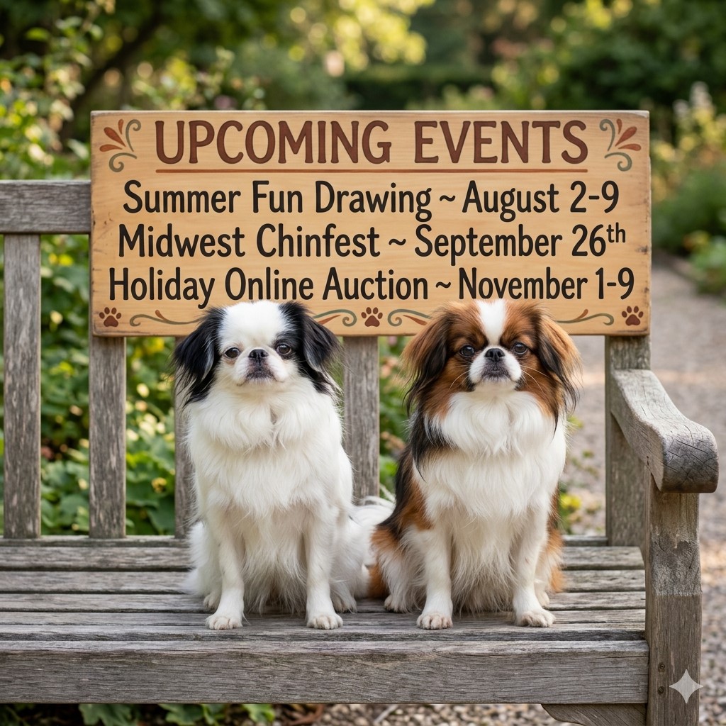 chins on a bench with luv a chin schedule.