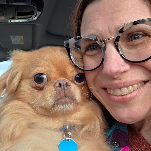 adoptable japanese chin frankie.